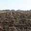 Wynajem głębosza Köckerling — 131 dłut — miniatura 1