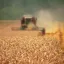 Kombajn John Deere — usługi zbioru zbóż i rzepaku — miniatura 2