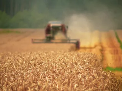 Kopanie buraków cukrowych — kombajn John Deere