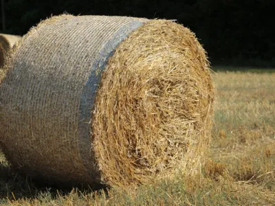 Belowanie słomy i siana — Krone