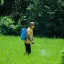 Usługi opryskiwacza samojezdnego New Holland — miniatura 2