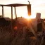 Usługa: Suszenie ziarna — miniatura 2