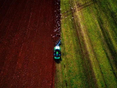 Usługa: Pomoc przy drewnie