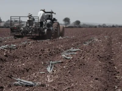 Usługa: Prace dorywcze na gospodarstwie