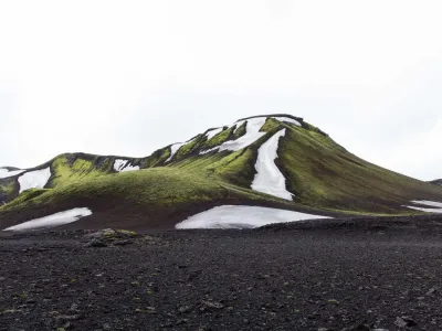 Wywóz obornika — 290m³, szybki termin